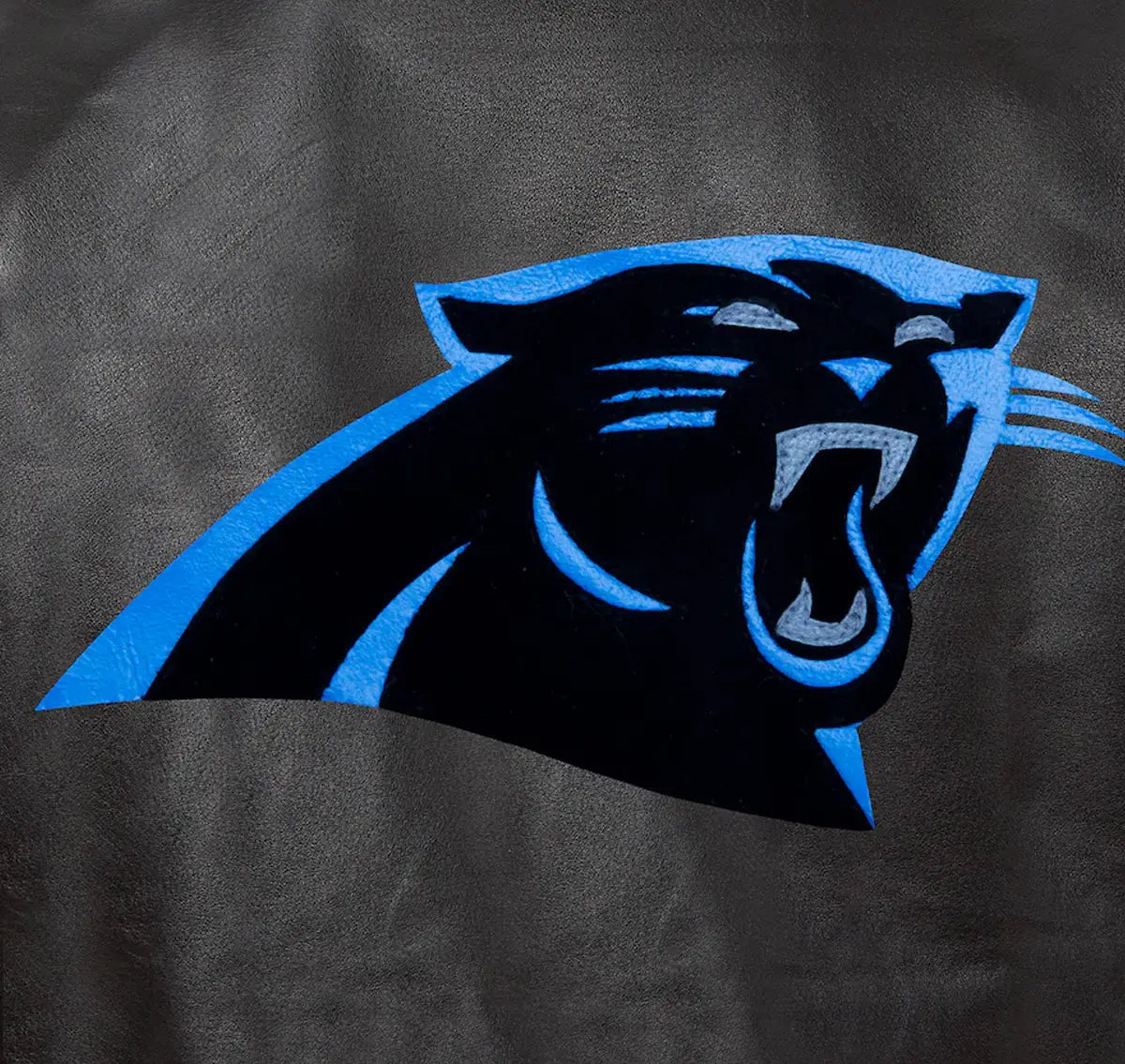 Buy_Carolina_Panthers_Leather_Jacket