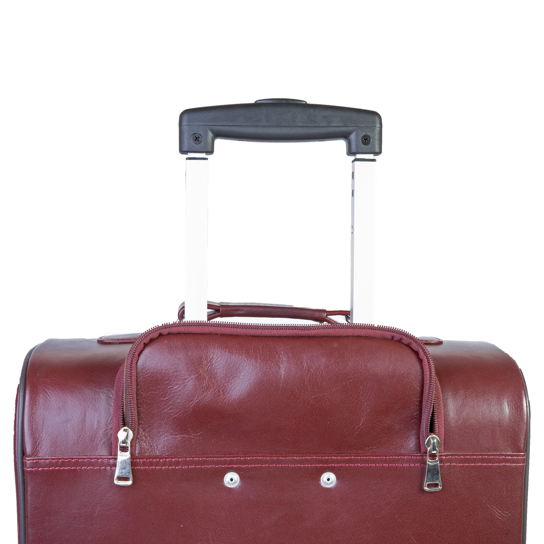 Modern Leather Case Cabin Trolley Bag