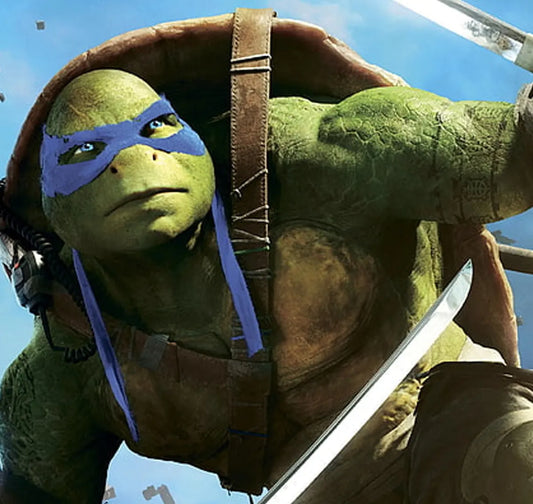 Teenage Mutant Ninja Turtles Costume