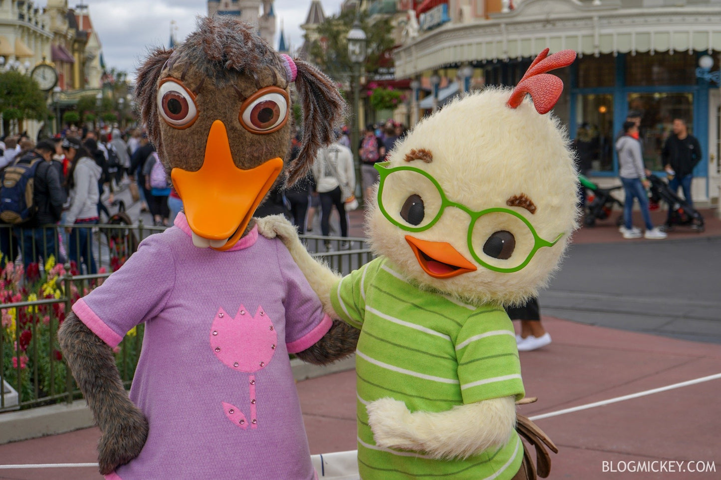 chicken little abby mallard costume