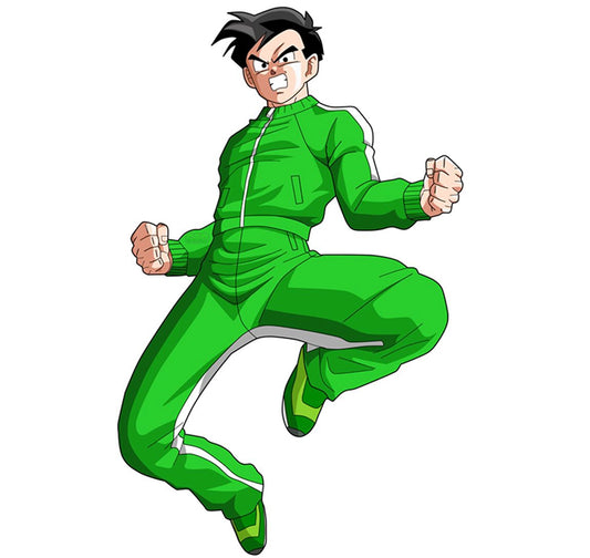 dragon-ball-z-gohan-tracksuit