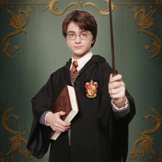 Harry Potter Costume