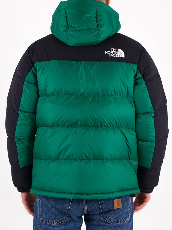 North Face Himalayan Jacket Green Back