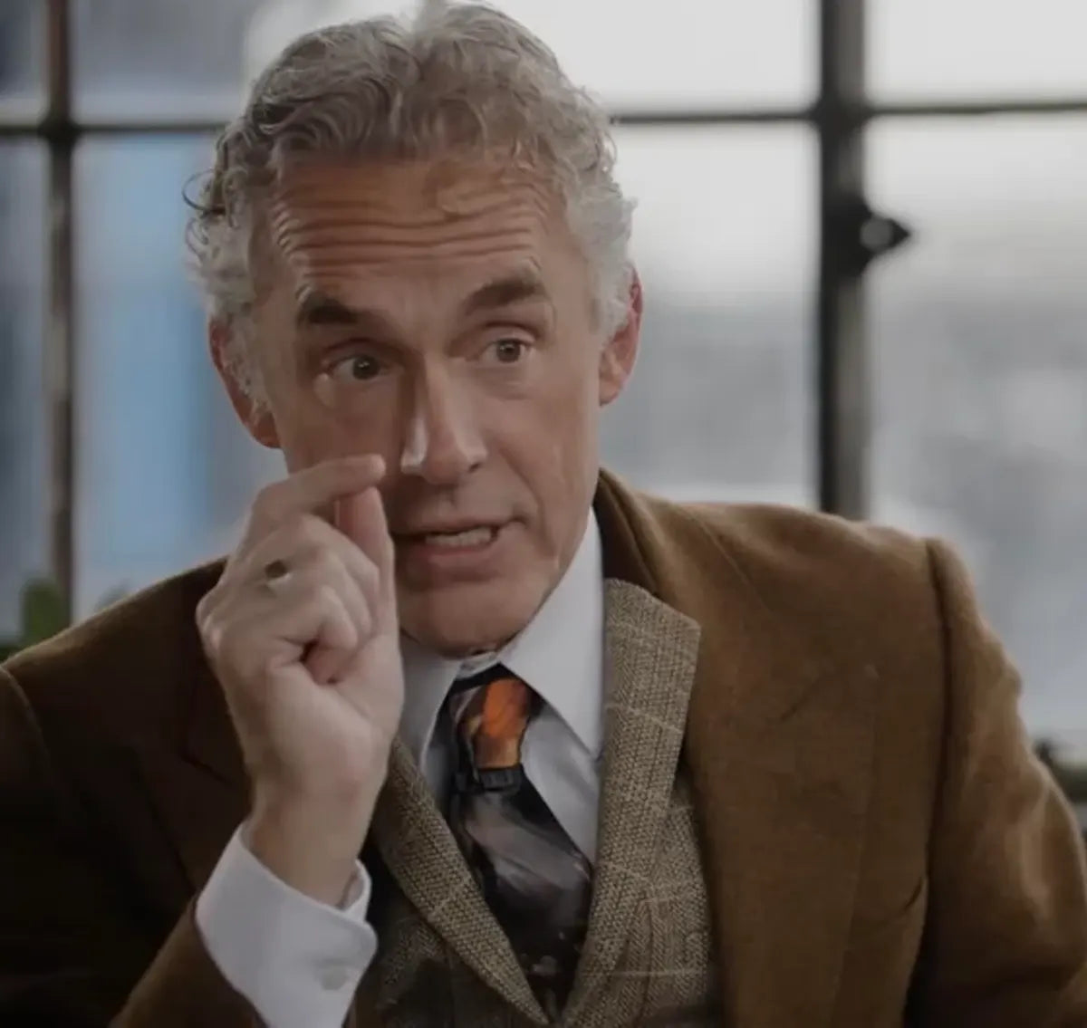 Jordan Peterson Brown Suit
