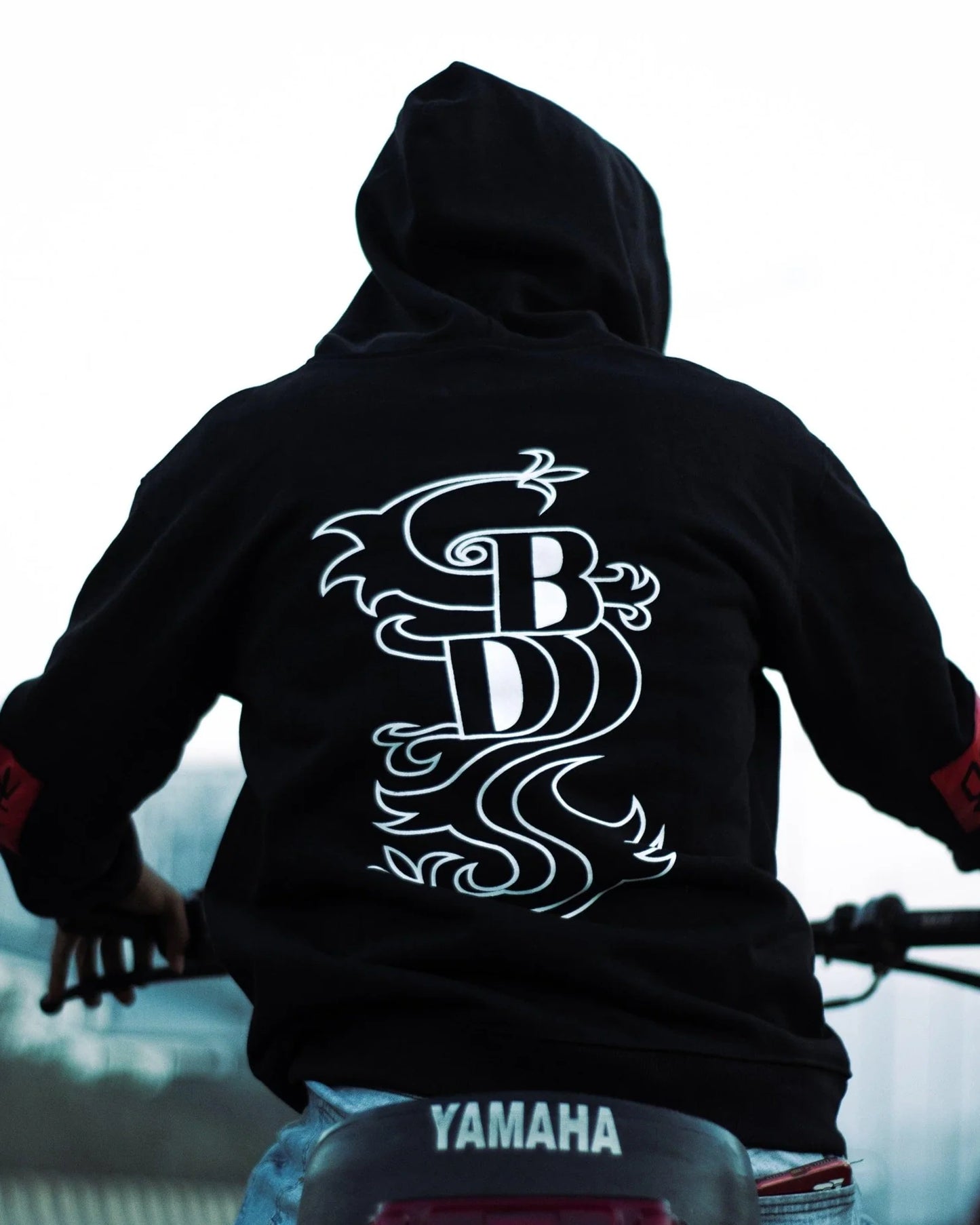 Tokyo-Revengers-Black-Dragon-Jacket-BackView