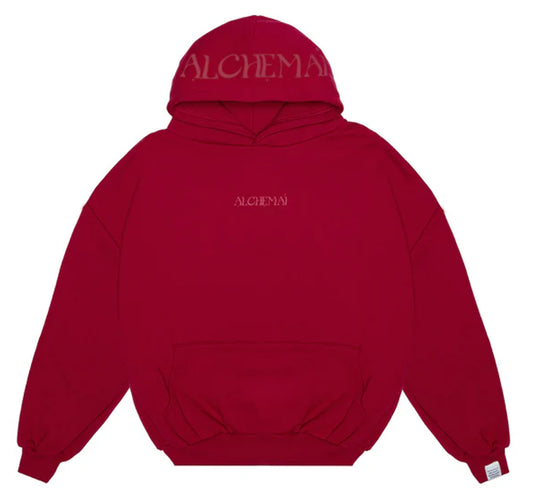 Your_Fear_Of_Looking_Stupid_Is_Holding_You_Back_Hoodie_Red