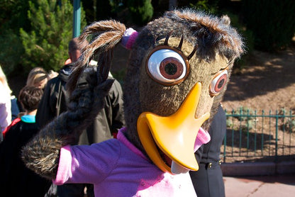 abby mallard shirt