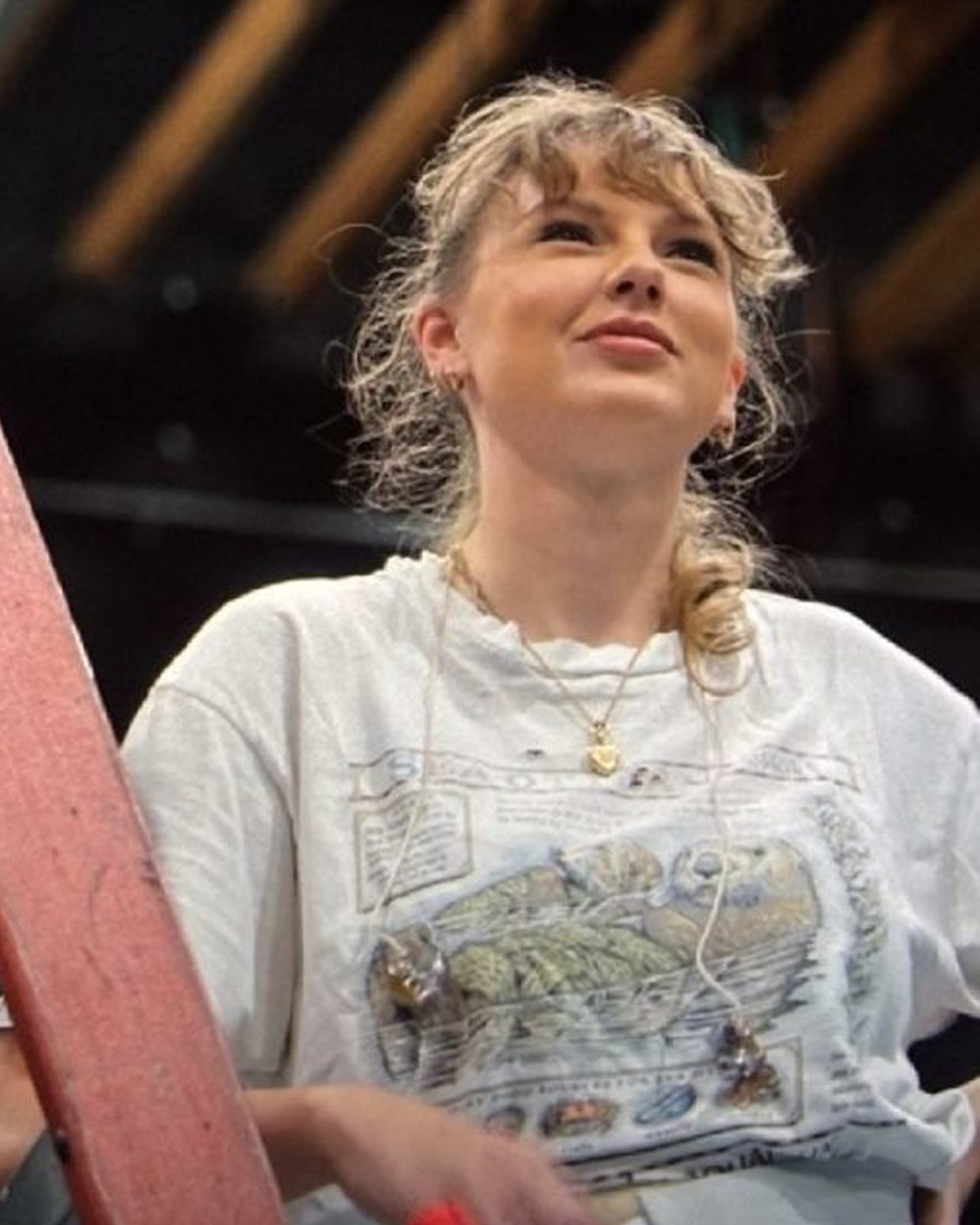 taylor_swift_otter_shirt