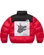 Buy Supreme North Face Jacket