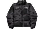 Kaws North Face Jacket