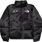 Kaws North Face Jacket