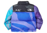 Kaws North Face Jacket Buy