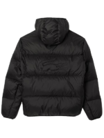 Lacoste-Mens-Water-Repellent-Hooded-Down-Jacket-Back