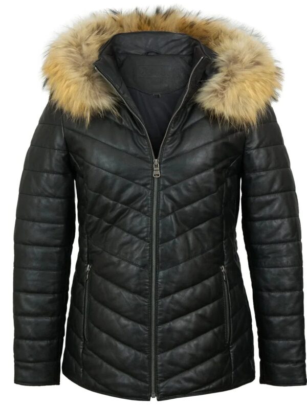 Light Weight Puffer Jacket, Padded Coat Zing Apparel