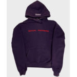 Purple_Vetements_Hoodie