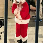 Terrifier 3 Santa Coat