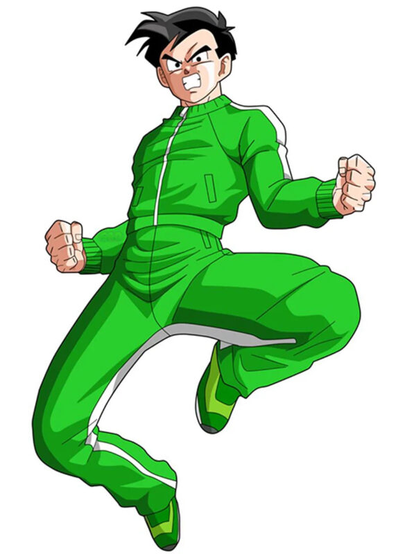 dragon-ball-z-gohan-tracksuit