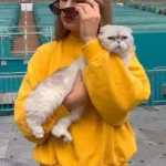 American Singer Taylor Swift Yellow Sweatshirt